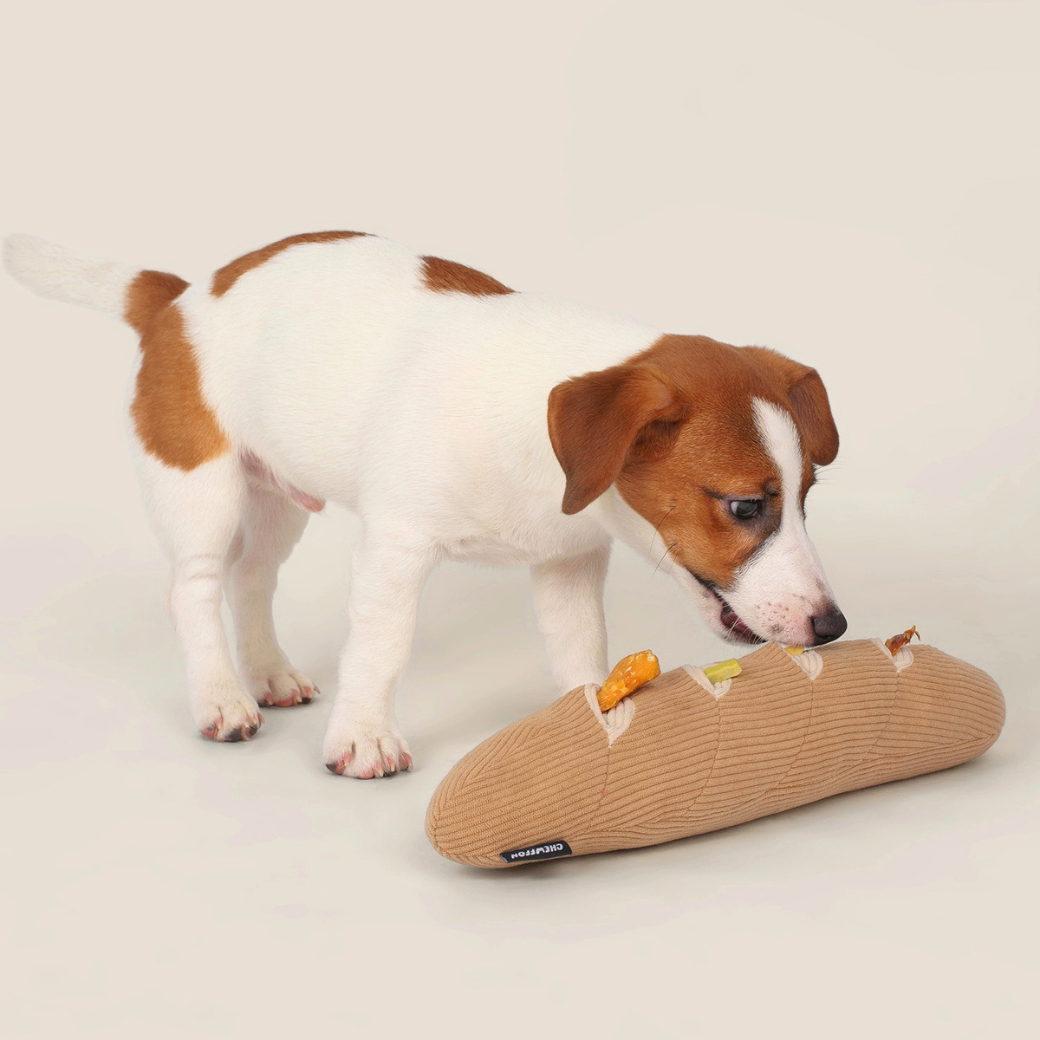  Coco & Pud - Interactive Enrichment Baguette dog toy with Jack Russell dog sniffing a bread-shaped dog toy seeking treats - Chewffon