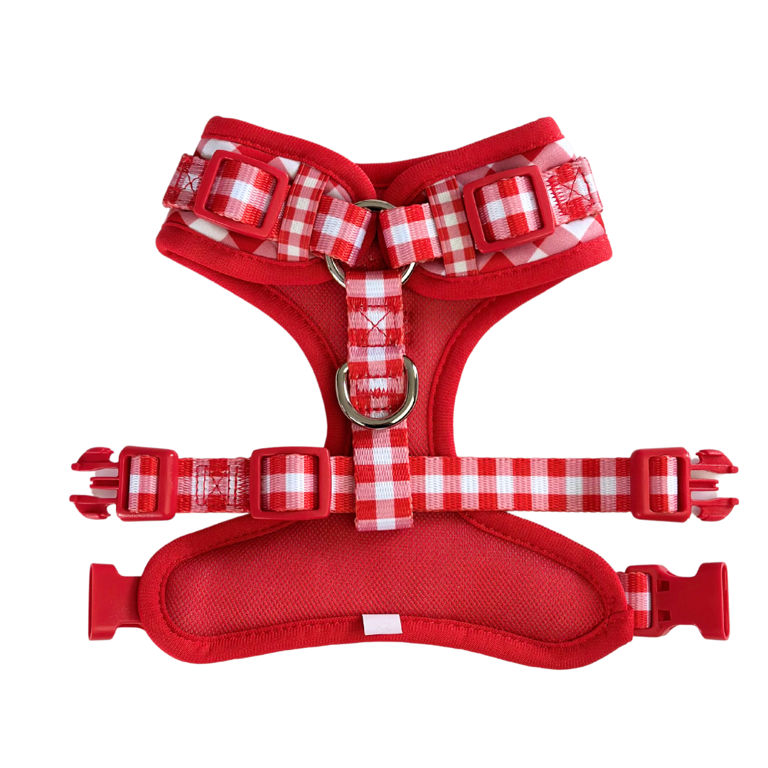 Coco & Pud Gingham Red Adjustable Harness back Australia