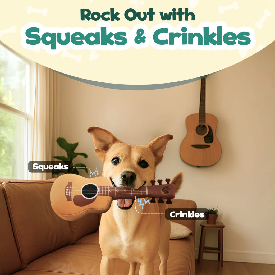 Coco & Pud - A tan dog holding a small acoustic guitar plush dog toy in its mouth. The scene includes large promotional text reading 'Rock Out with Squeaks & Crinkles,' callout labels pointing to the guitar, and a second acoustic guitar hanging on the wall behind - Puproar
