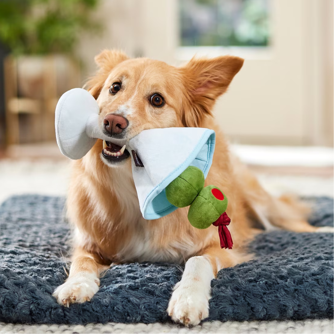 Coco & Pud Dog playing with Happy Hour Martini Dog Toy Barktender Collection - PLAY toys