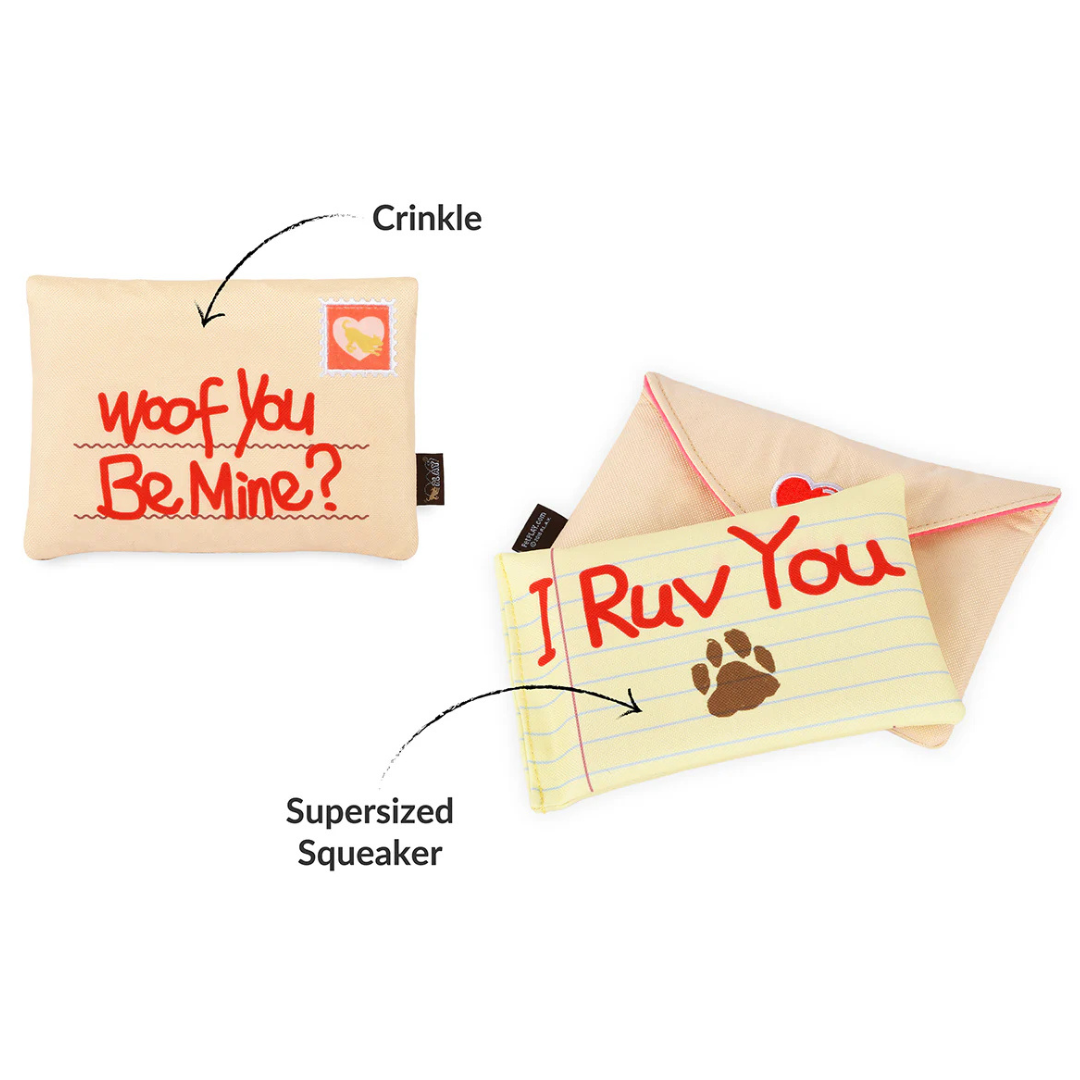 Coco & Pud Love Bug Love Letters Valentine's Dog Toy details of inside letter - P.L.A.Y 