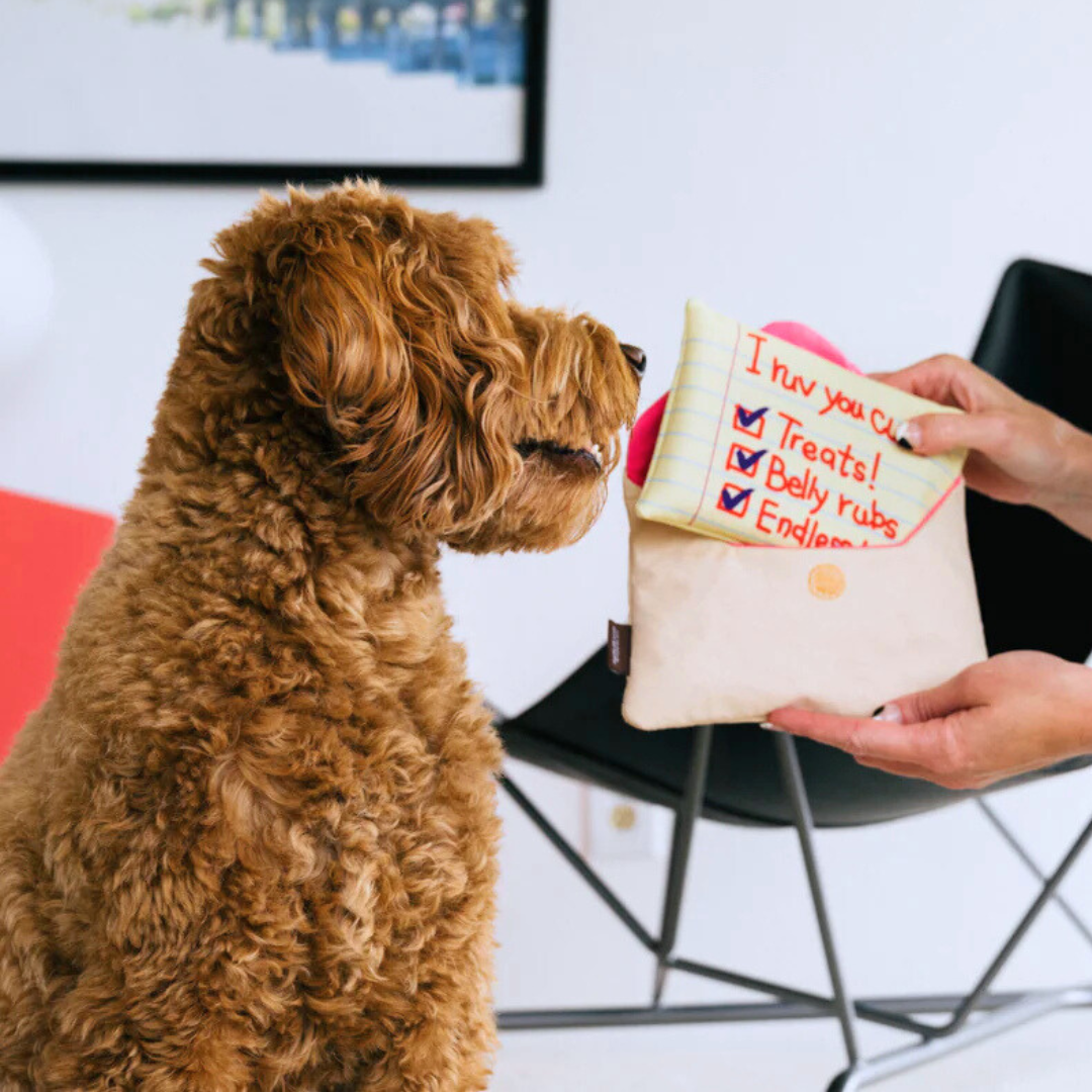 Coco & Pud Love Bug Love Letters Valentine's Dog Toy with Groodle dog - P.L.A.Y 