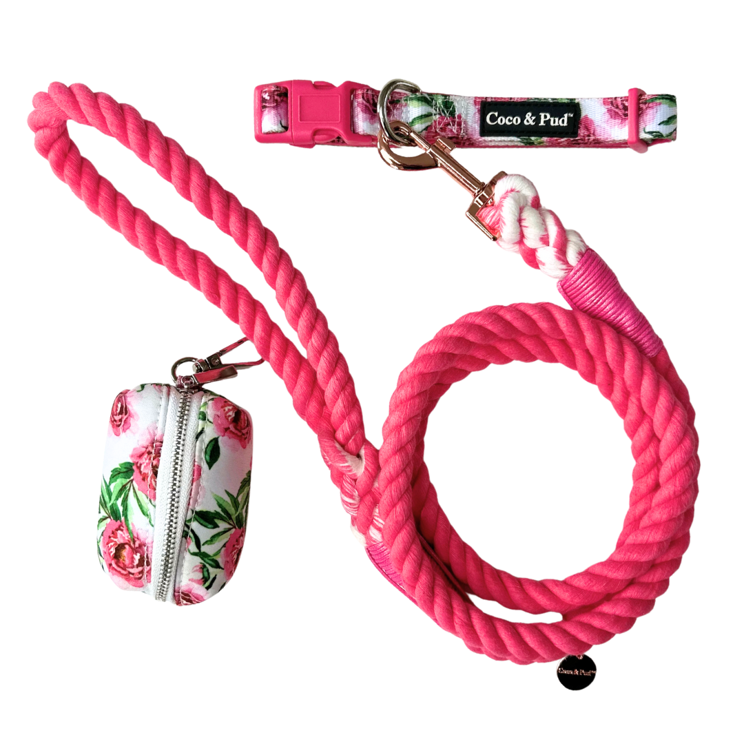 Peony Collar Walk Set