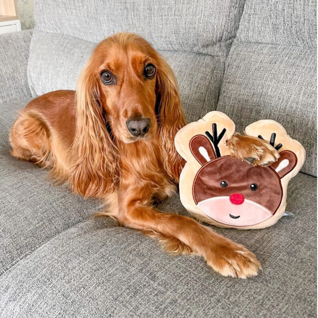 Coco & Pud Reindeer Sugar Cookie Dog Toy with Cocker Spaniel dog 