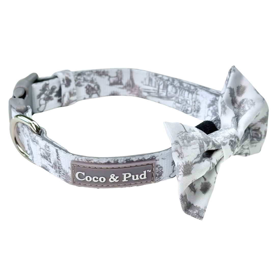Toile de Chien Grey Dog Collar