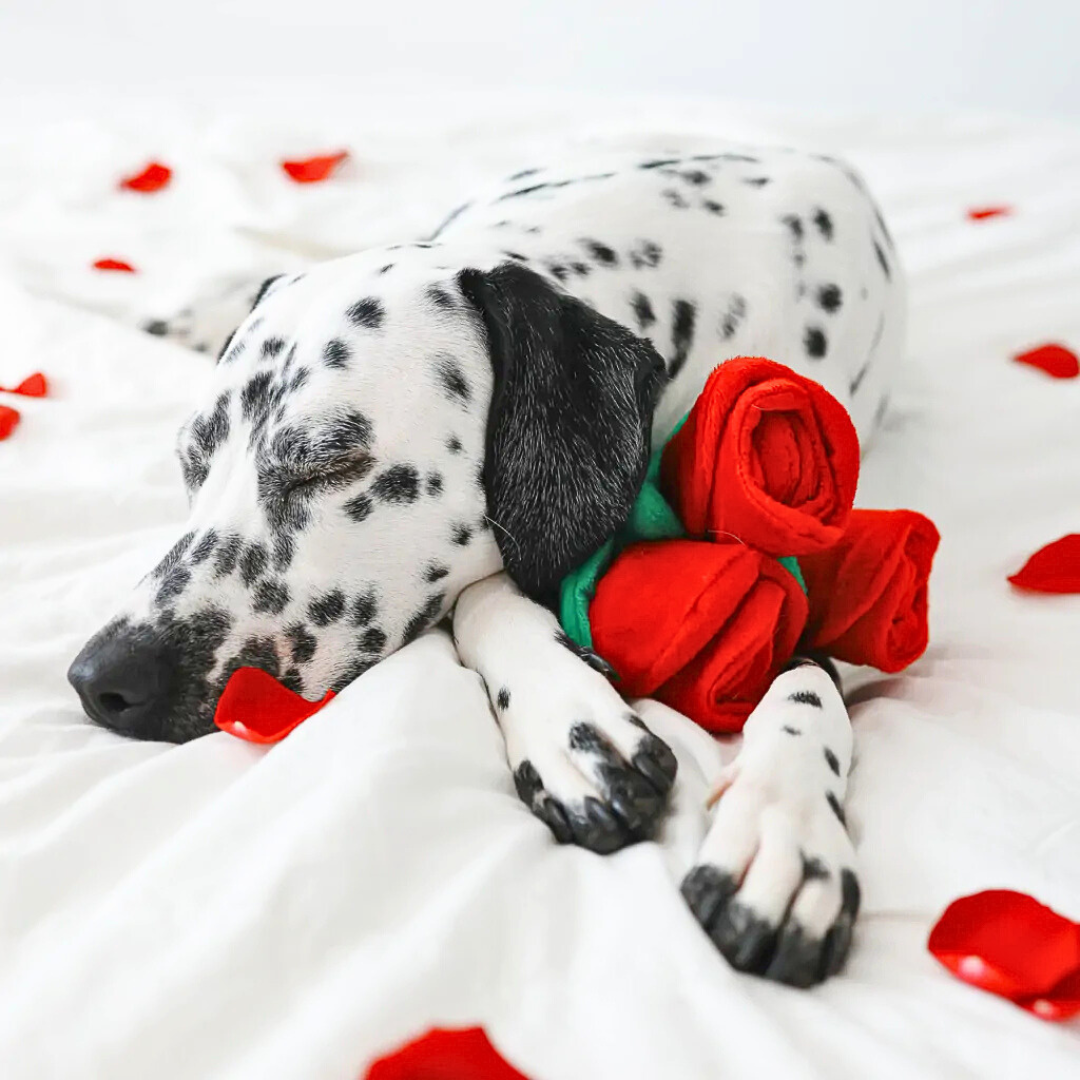 Coco & Pud Red rose-shaped bouquet dog toy with green stem and black sheath with Dalmation dog- Zippy Paws