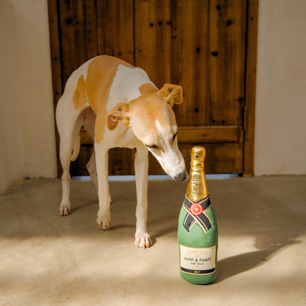 Coco & Pud - Woof & Pawty Champagne dog toy with a small dog with tan and white patches looks at a green and gold bottle labelled 'WOOF & PAWTY' - Chewffon