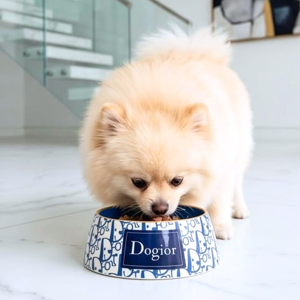 Coco & Pud -A fluffy Pomeranian dog eating from a Dogior blue and white patterned bowl- Haute Diggity Dog