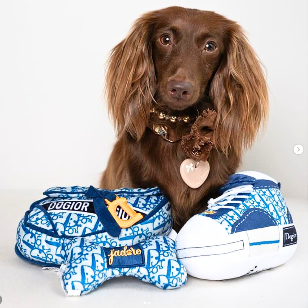 Coco & Pud - A miniature long haired dachshund sits with blue Dogior plush dog toy collection- Haute Diggity Dog