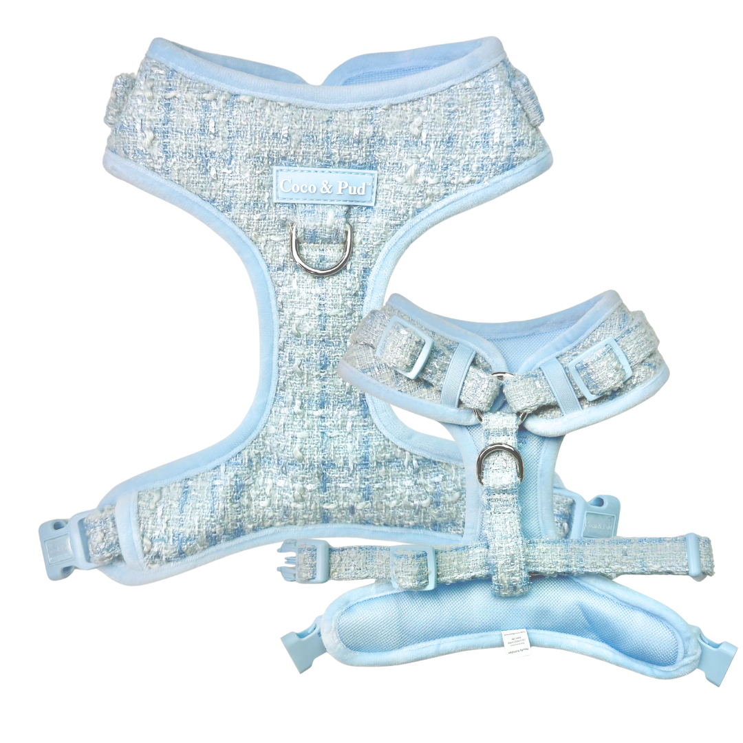 Coco & Pud Boucle de Luxe Adjustable Dog Harness front and back - Whisper Blue