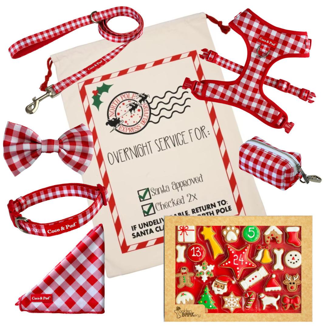 Coco and Pud Christmas Celebration Hamper - Red Gingham