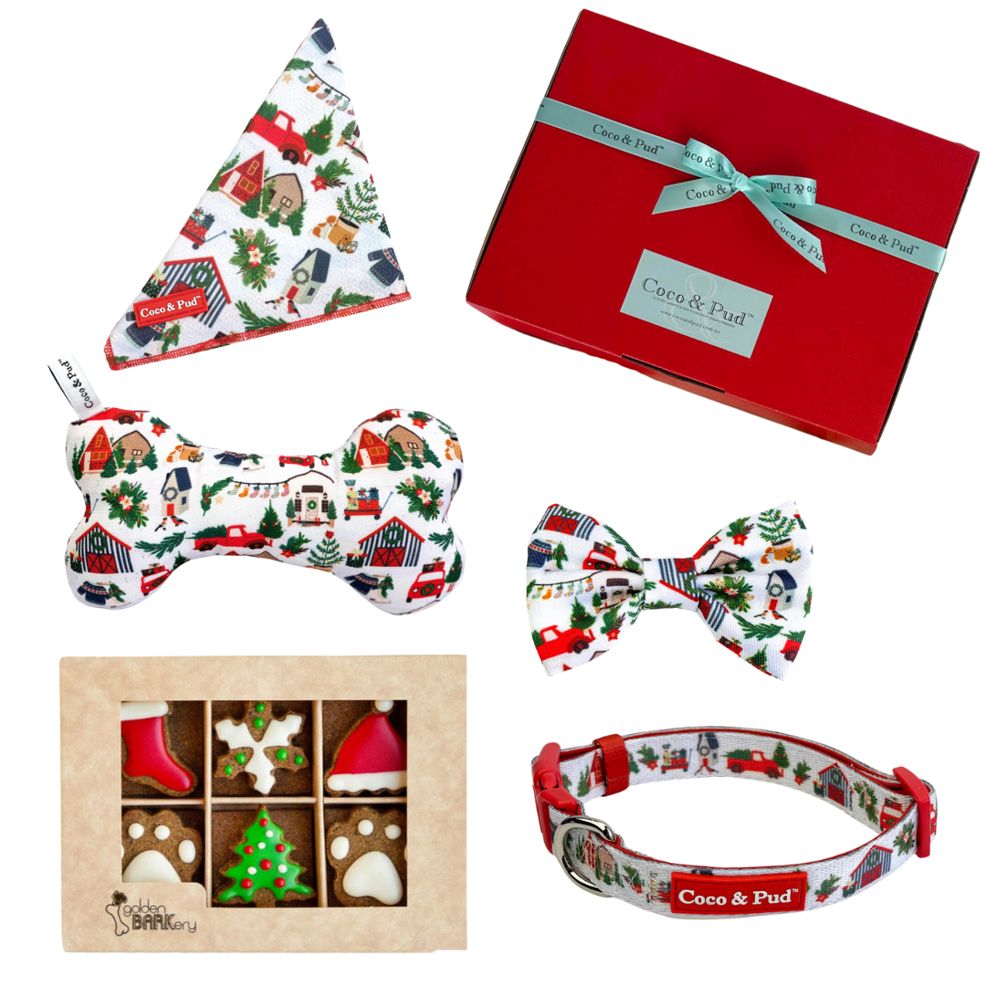 Home For Christmas Bone Dog Toy