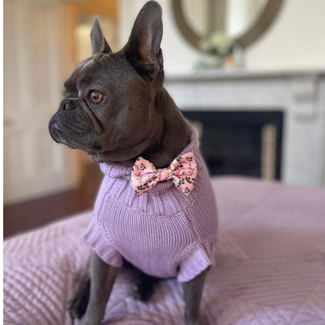 Coco & Pud Coco Cable Dog Sweater in Lilac on French bulldog Jazz