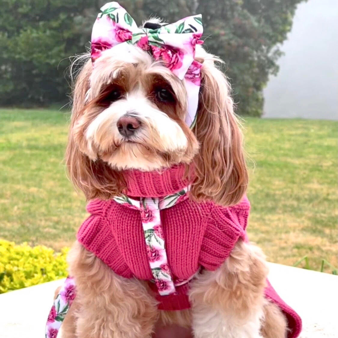 Coco Cable Dog Sweater/ Dog Jumper - Peony