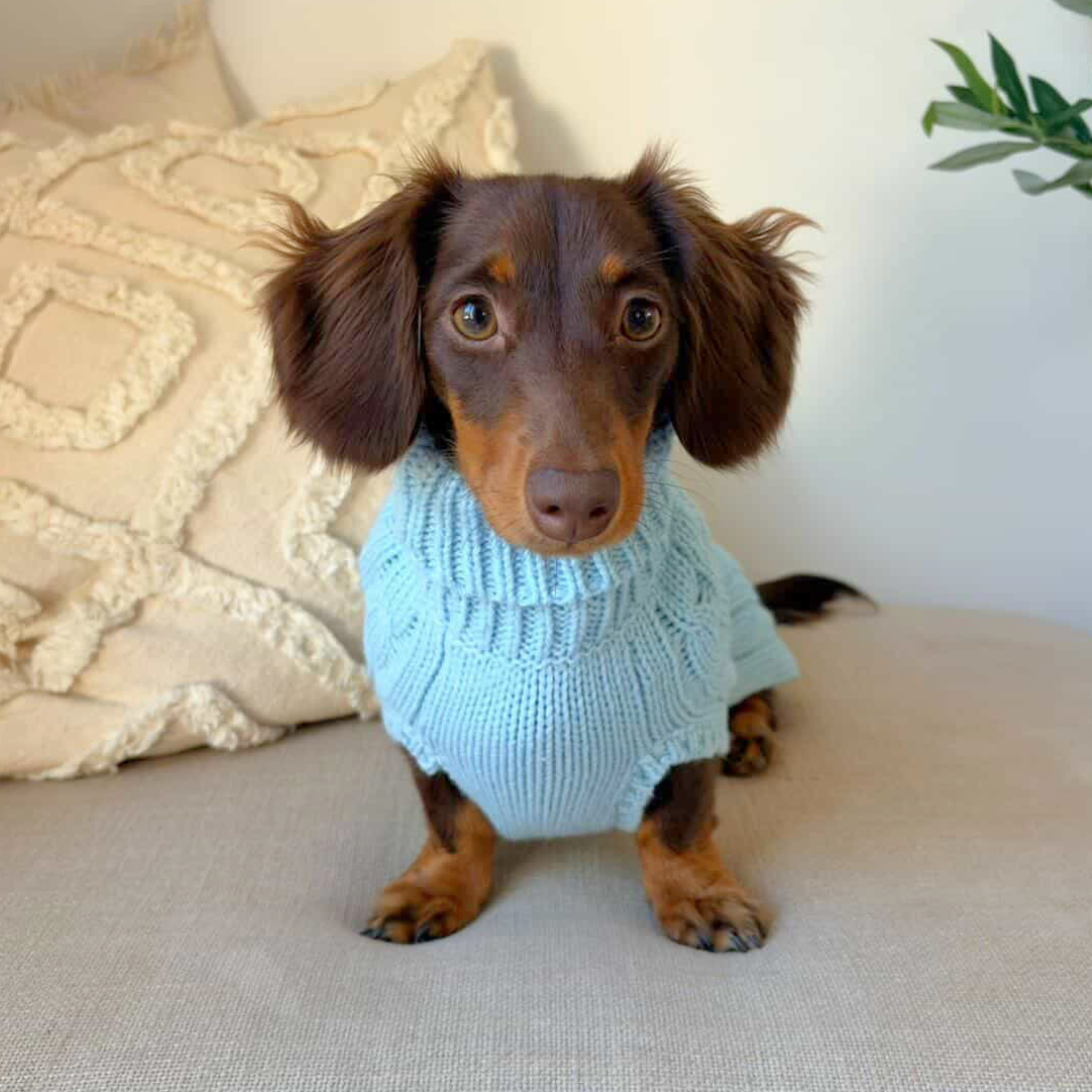 NEW! Coco & Pud Dachshund Cable Dog Sweater/ Dog Jumper - Sea Mist