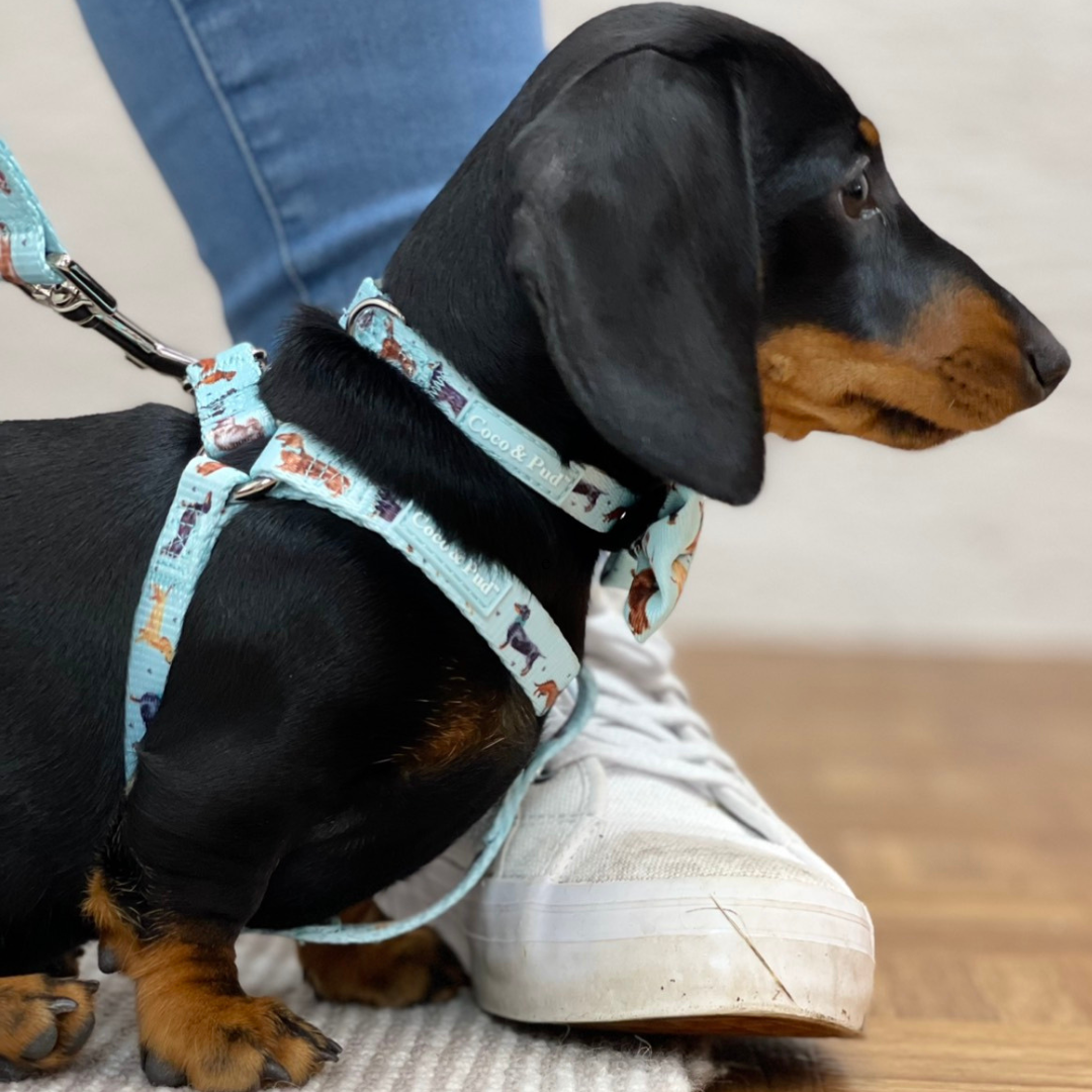 Coco & Pud Doxie Love Uniclip Lite Dog Harness