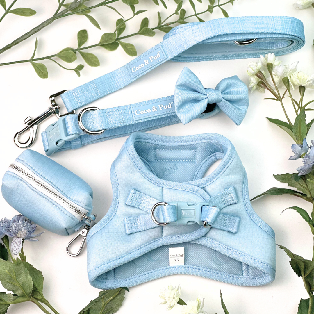 Coco & Pud Essential Pup Collection of dog accessories in Sea Mist colour