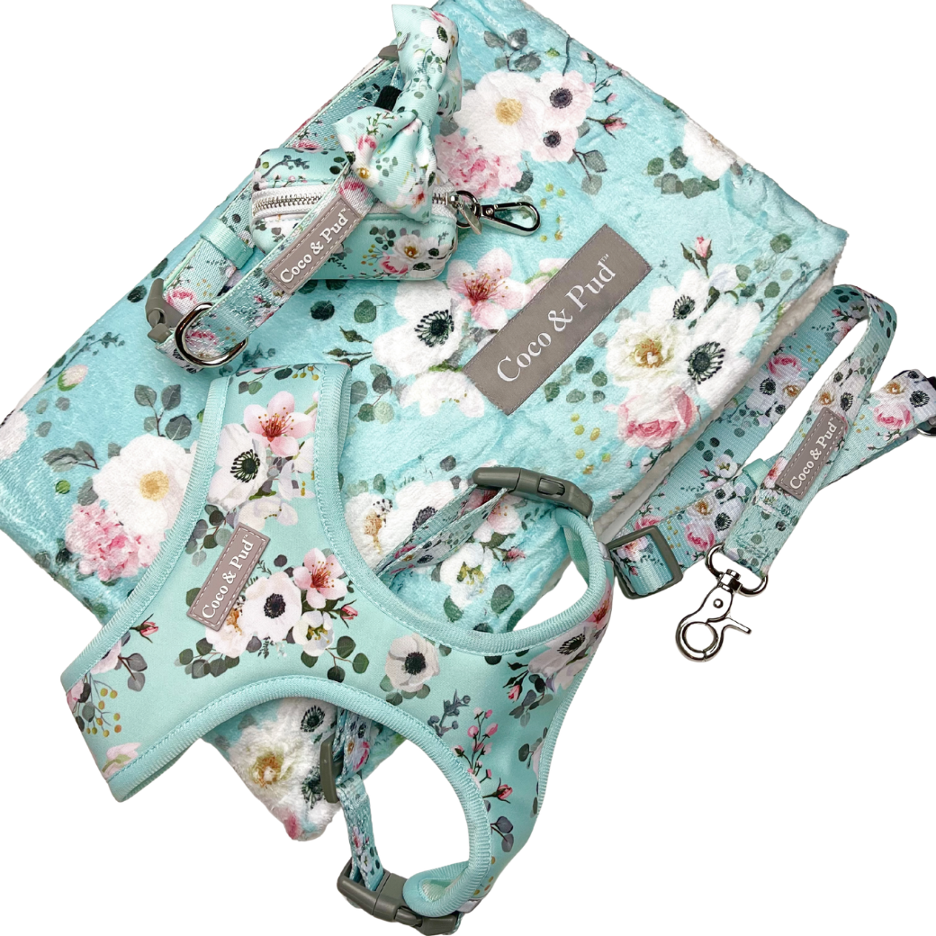 Coco & Pud French Azure Collection- matching luxe pet blanket including a harness, leash, and collar, all in a light aqua floral fabric with white, pink, and green flowers. 