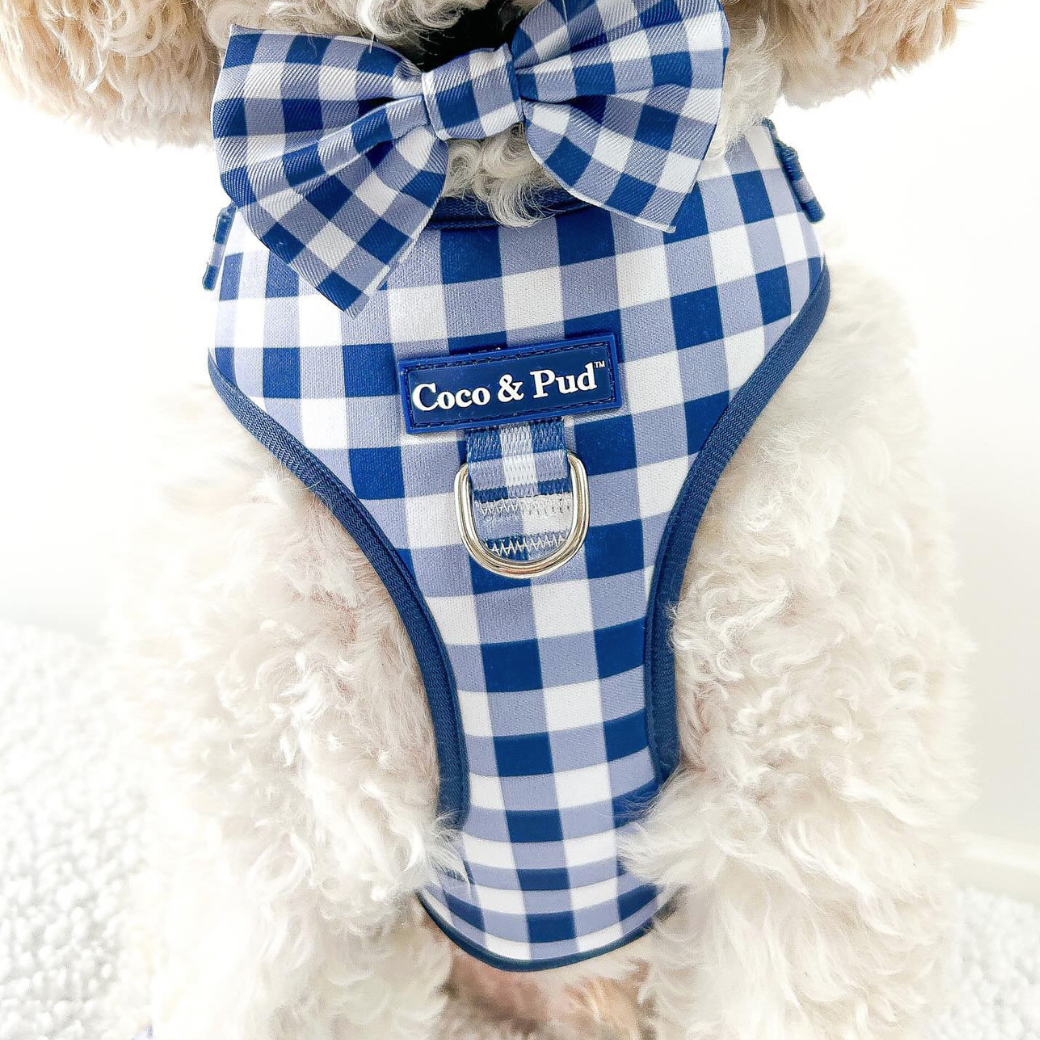 Coco & Pud Gingham Navy Adjustable Dog Harness