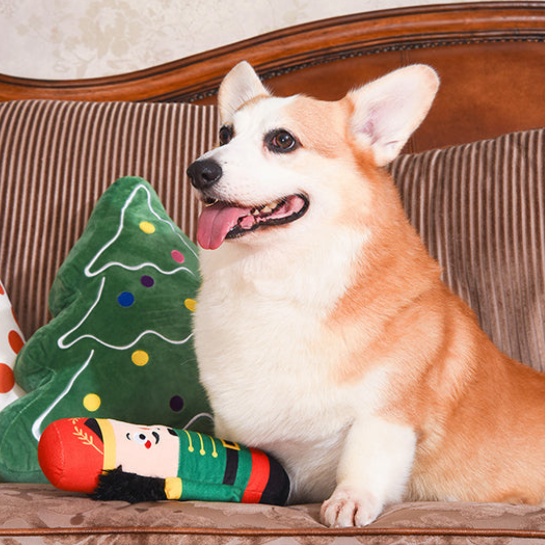 Coco & Pud Happy Woofmas - Corgi dog sitting on a lounge with Nutcracker Christmas Dog Toy - Hugsmart