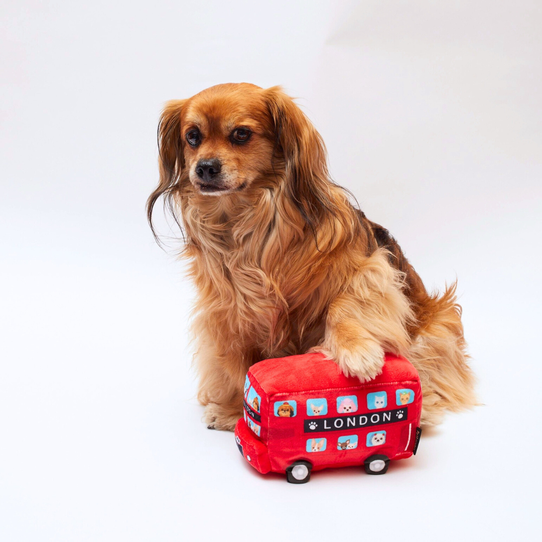 Coco & Pud King Charles Cavalier dog playing with London Bus Dog Toy - Pet London