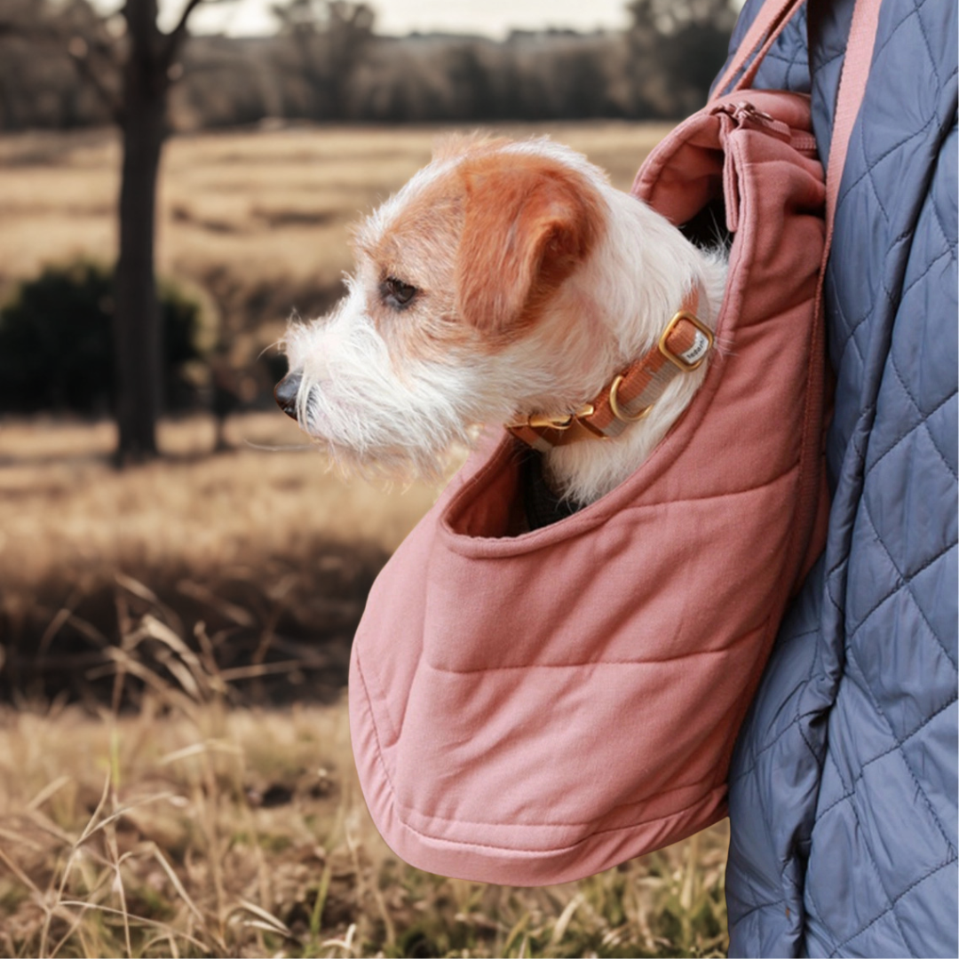 Coco & Pud soft quilted dog/puppy carrier bag with adjustable straps in Rose colour carrying small Jack Russell dog