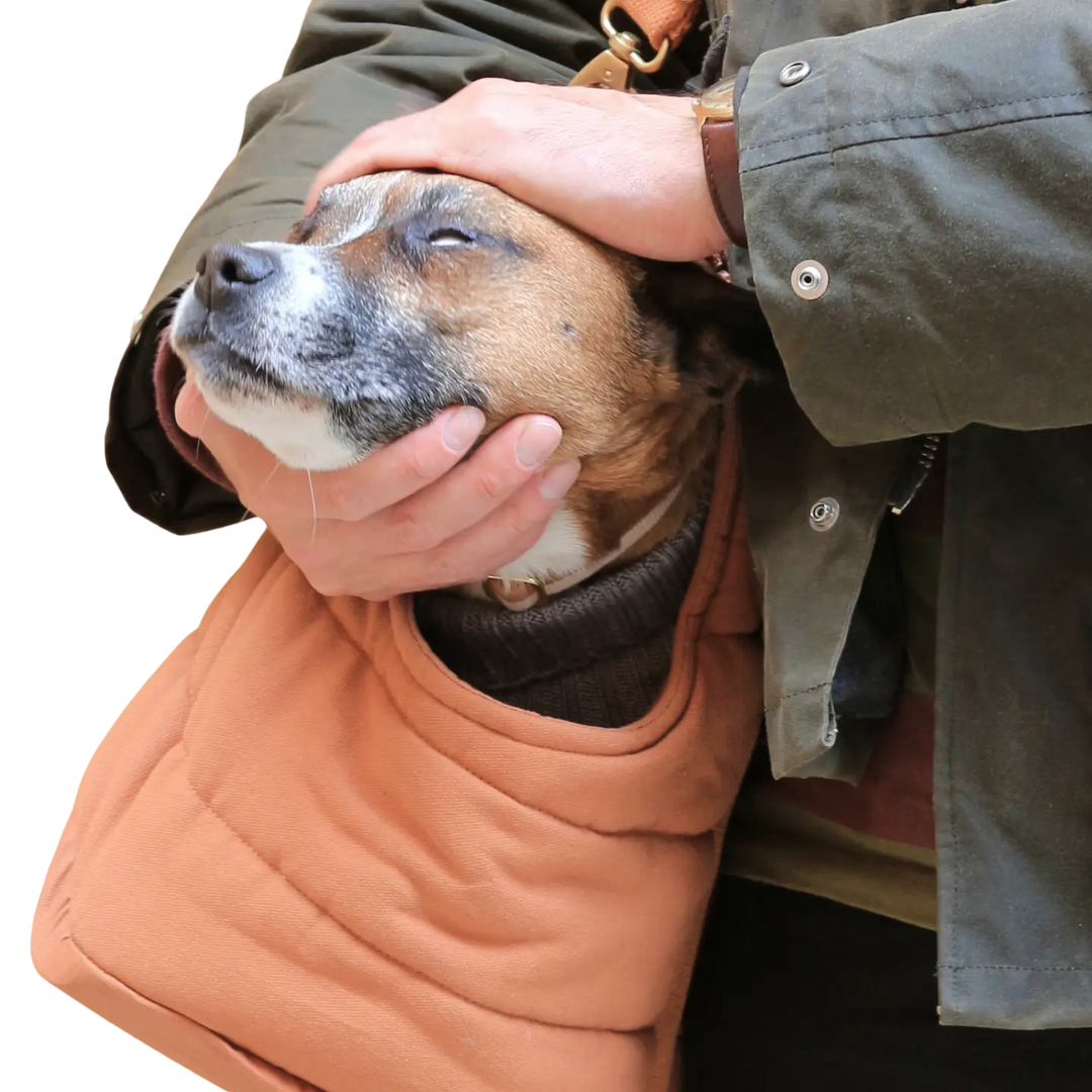 Rio Dog/ Puppy Carrier - Maple