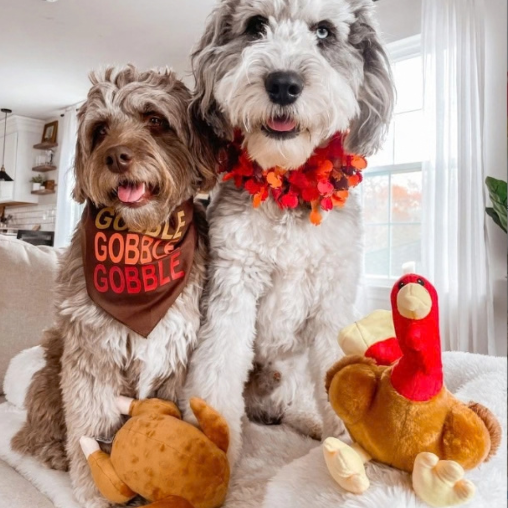 Coco & Pud - 2 fluffy dogs sitting with Roasted Christmas Turkey and Thanksgiving Turkey plush Dog Toy - Midlee Designs