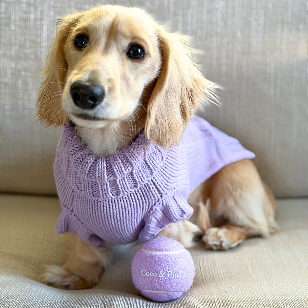 Coco & Pud tennis ball - Lilac with a miniature long haired Dachshund wearing Coco Cable Dog sweater in Lilac to match the tennis ball 