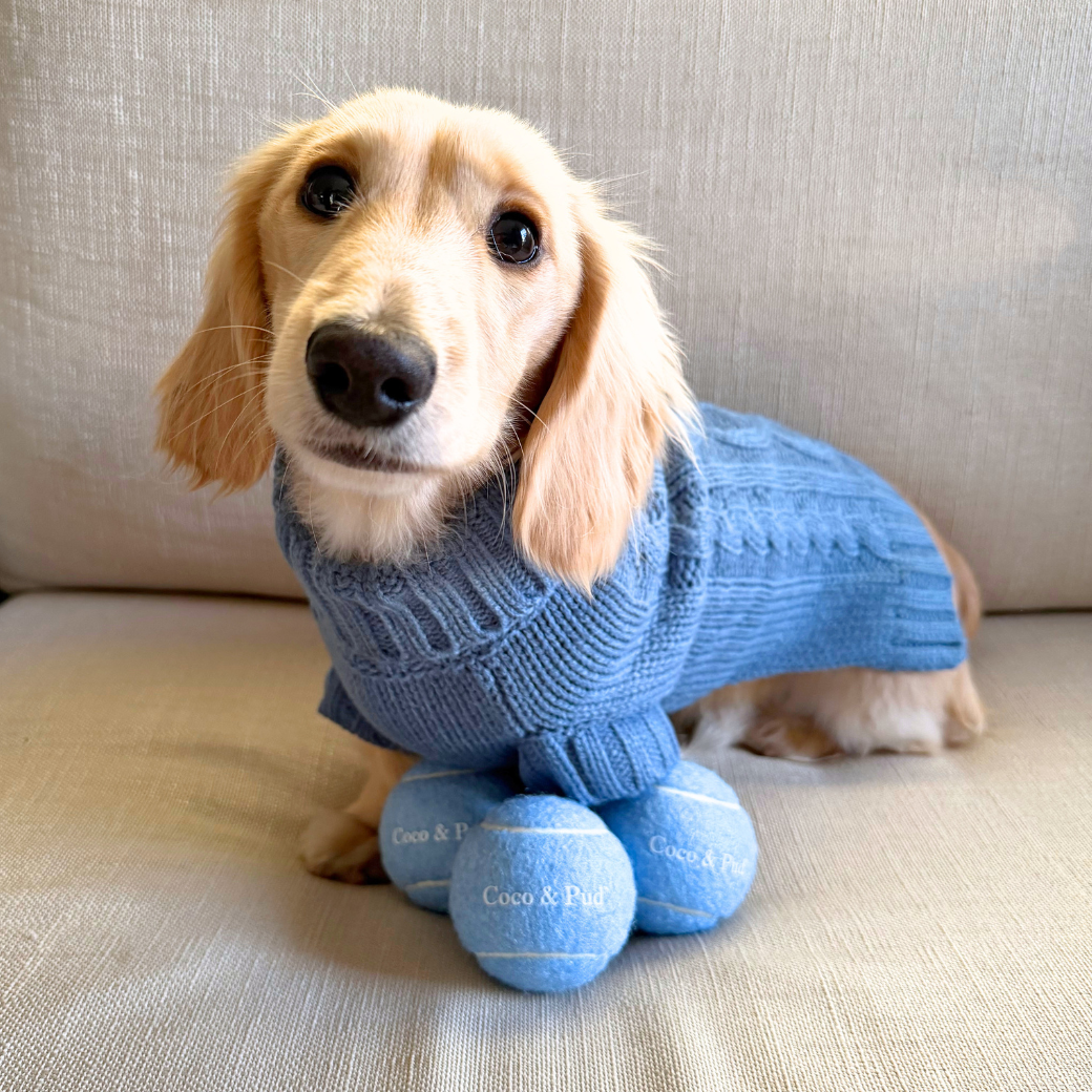 Coco & Pud Tennis Balls in Sky Blue with a dachshund wearing a Coco Cable Dog Sweater in Boathouse Blue with  three matching blue tennis balls labelled 'Coco & Pud'.