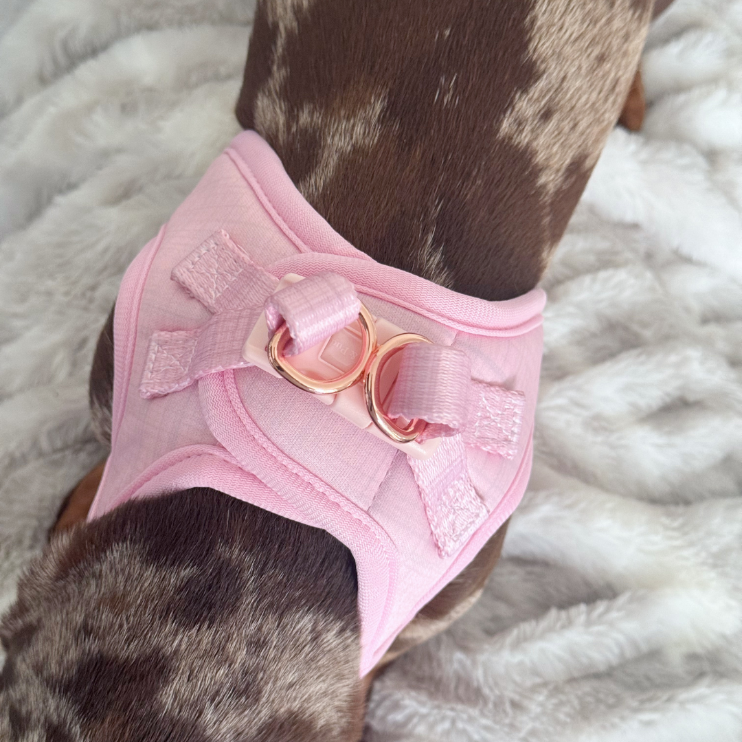 Coco & Pud Essential Pup Step In Dog Harness - Blossom Pink