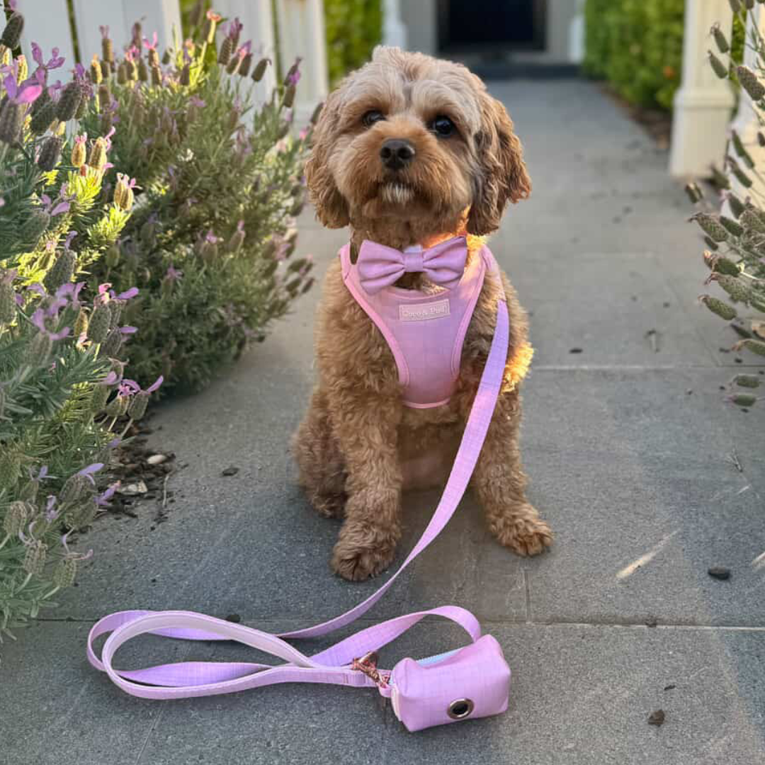 Coco & Pud Essential Pup Dog Lead - Blossom Pink