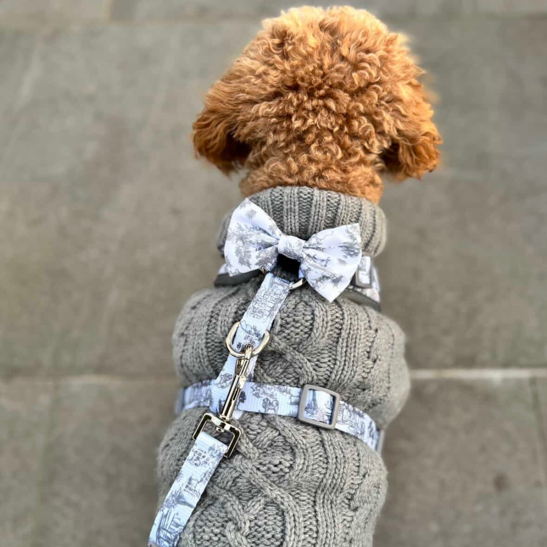 Coco & Pud Toile de Chien Dog Bow tie with Cavoodle dog wearing matching Coco Cable Dog Sweater in Storm Grey