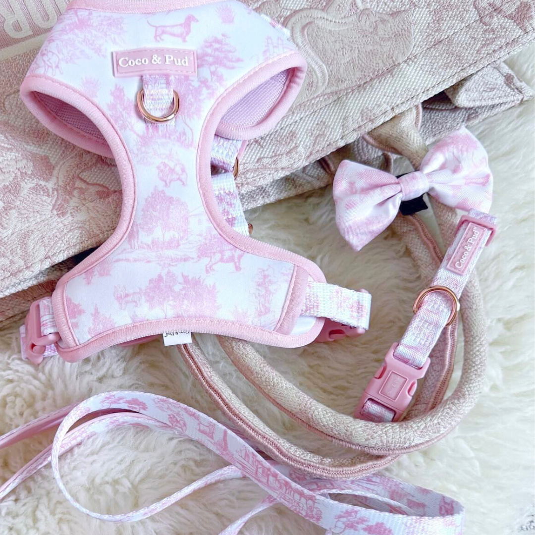 Coco & Pud Toile de Chien Rose Dog accessories