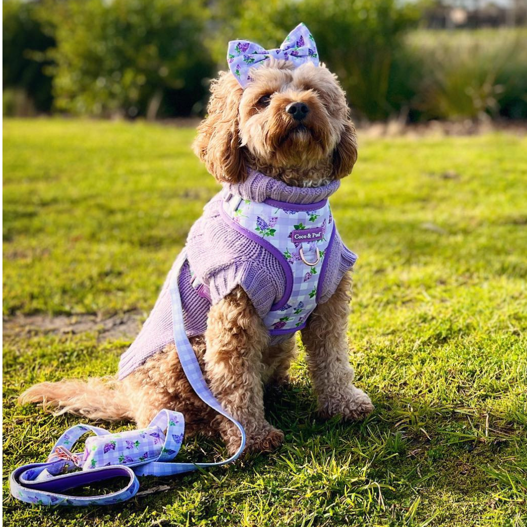 Lilac Coco Cable wool dog sweater by Coco & Pud front