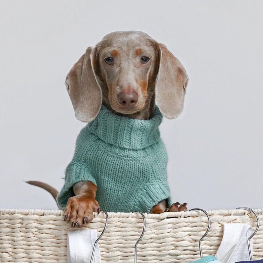 Coco & Pud Coco Cable Dog Sweater/ Dog Jumper - Azure