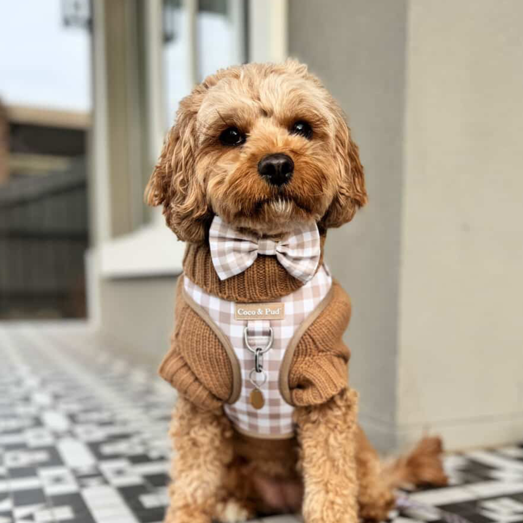 Coco & Pud Coco Cable Dog Sweater/ Dog Jumper - Cinnamon