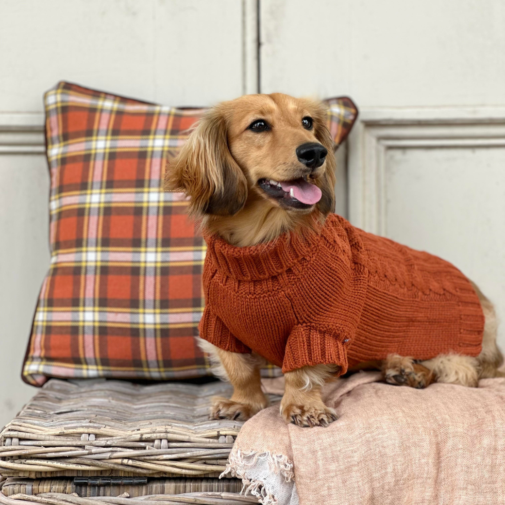 Coco & Pud Coco Cable Dog Sweater/ Dog Jumper - Sienna