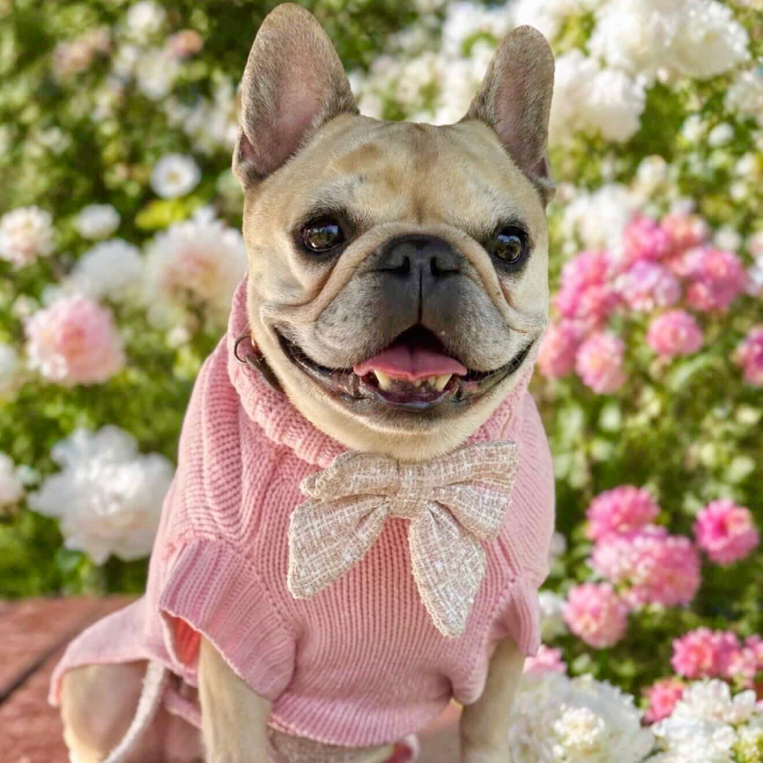 NEW! Coco & Pud Coco Cable Dog Sweater/ Dog Jumper - Blossom Pink
