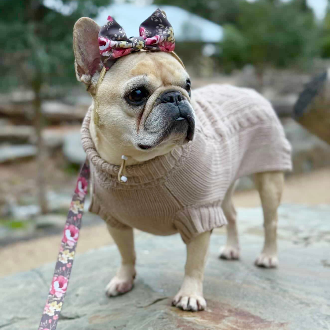 NEW! Coco & Pud Coco Cable Dog Sweater/ Dog Jumper - Mocha