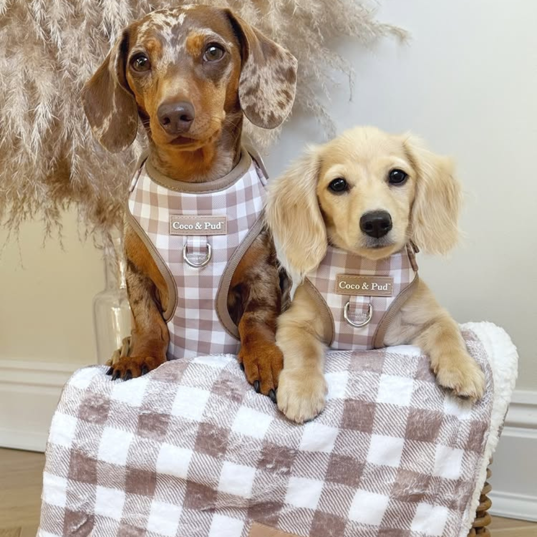 Coco & Pud Gingham Mocha Luxe Pet Blanket -