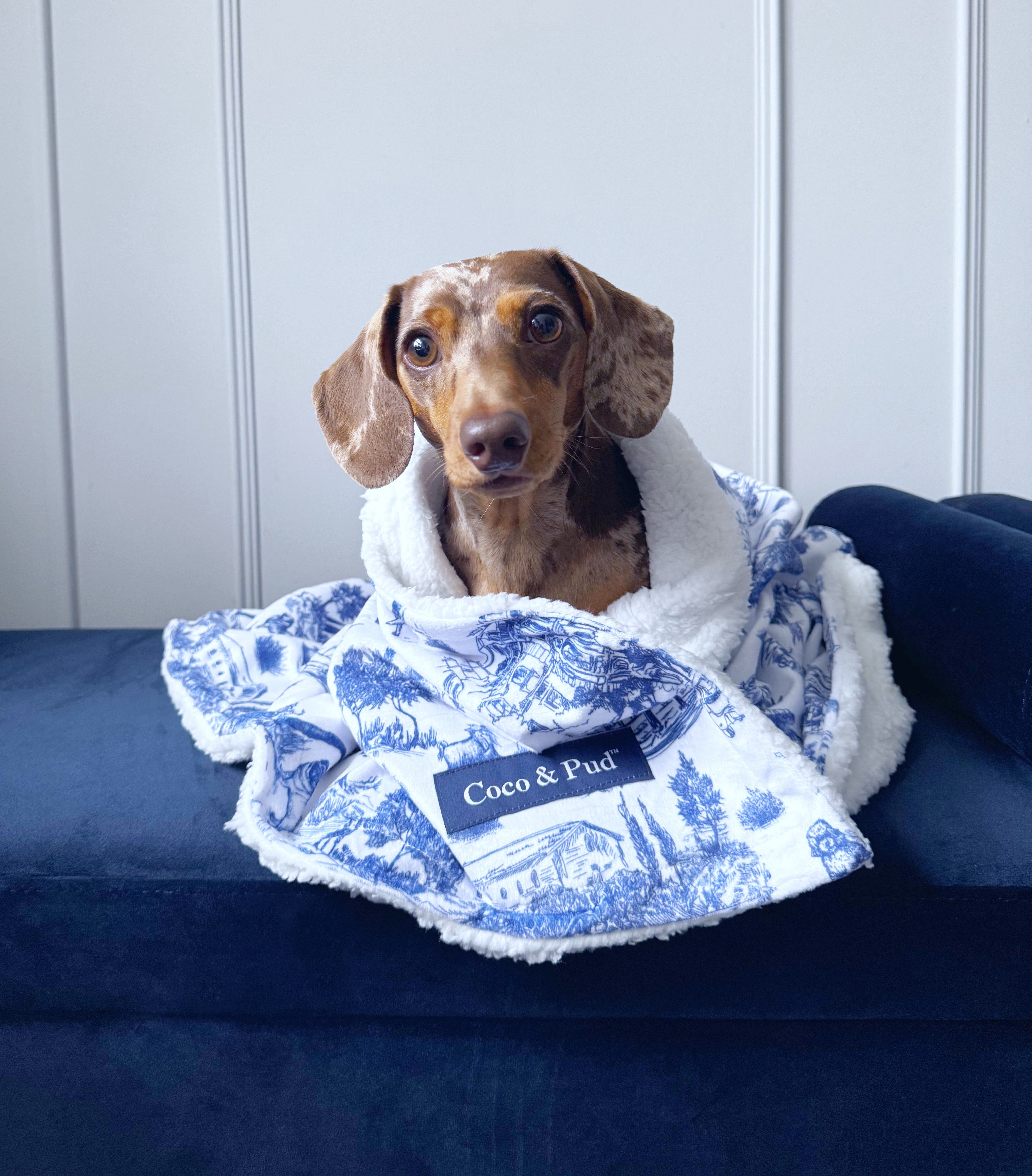 Toile de Chien Navy Luxe Pet Blanket