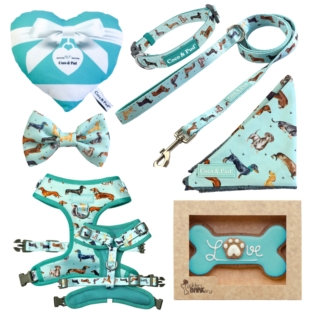 Doxie Love Dog Hamper Bundl