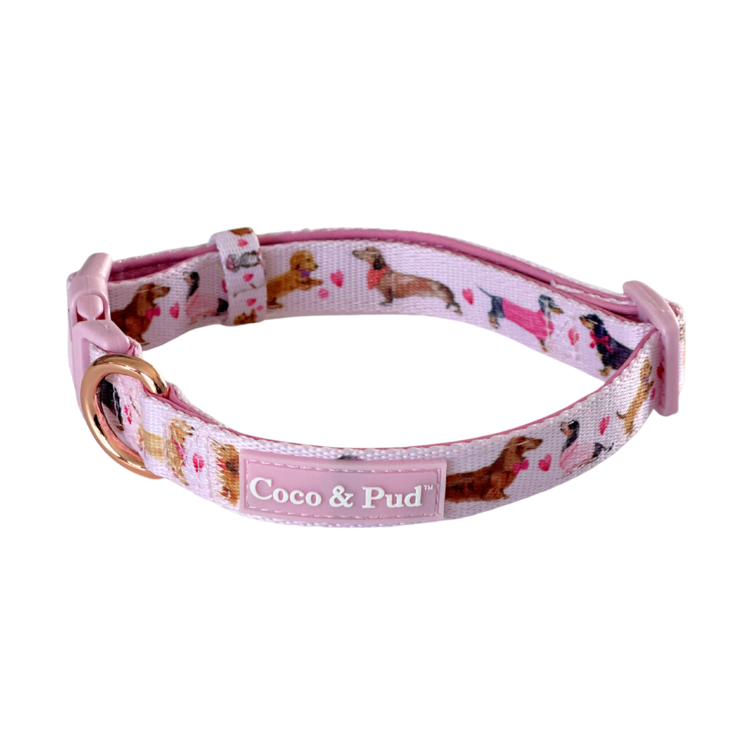 Coco & Pud Doxie Rose Dog Collar