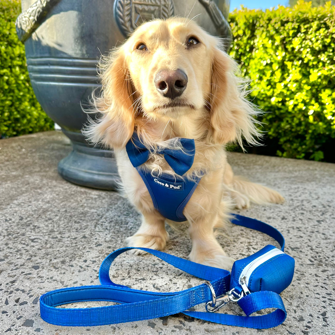 Coco & Pud Essential Pup Step In Dog Harness - Navy