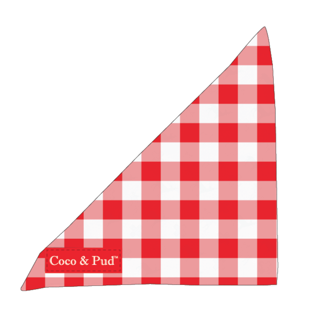 Coco & Pud Red Gignham Dog Bandana