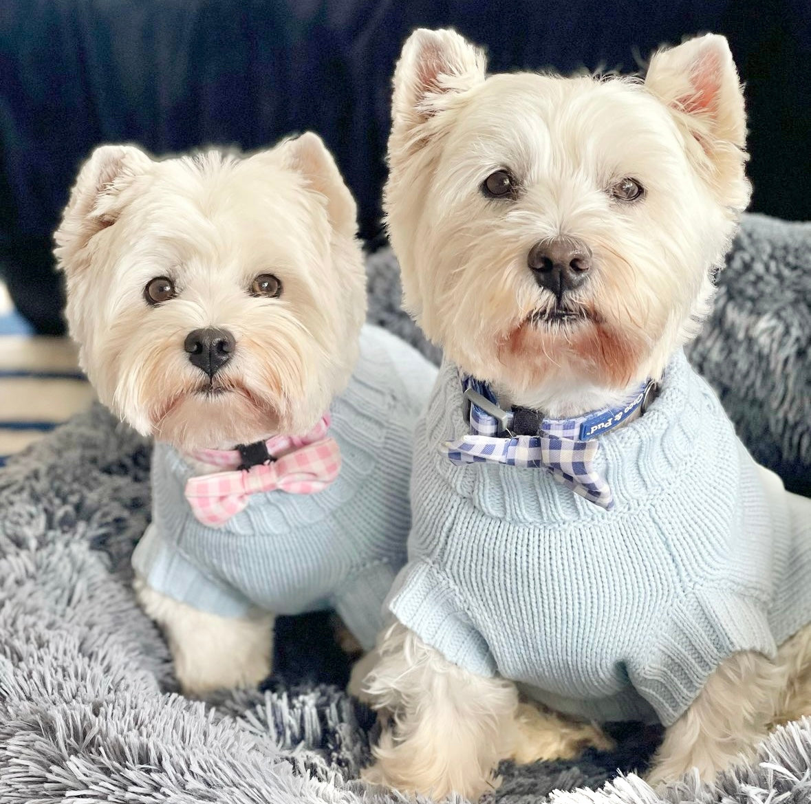 Coco Cable Dog Sweater/ Dog Jumper - Powder Blue