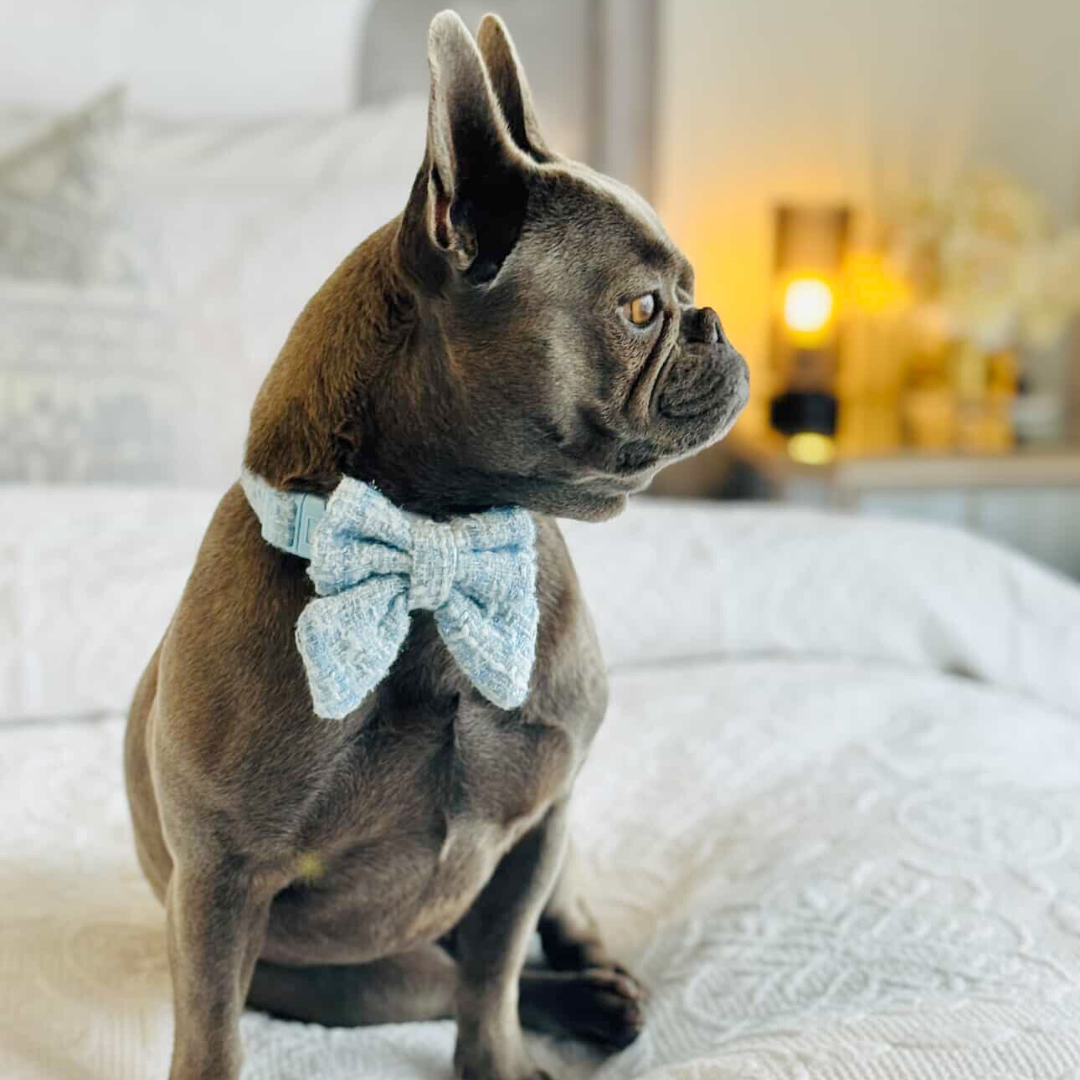 Boucle de Luxe Sailor Bow Tie - Whisper Blue