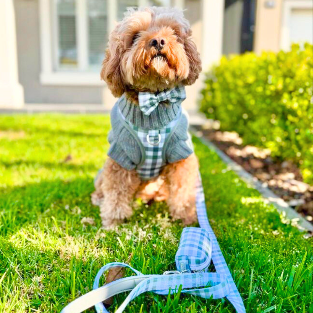 Kiki in Coco & Pud Gingham Olive Grey
