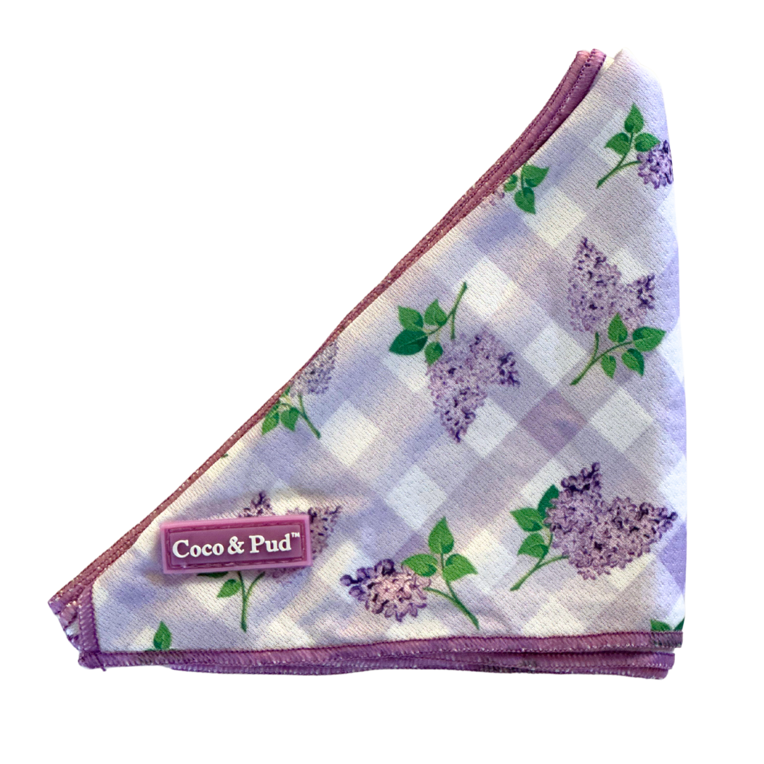 Coco & Pud Gingham Lilac Cat Bandana